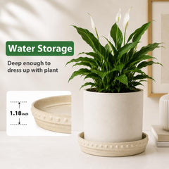 YBX YIBOXUAN saucer under a potted plant catching excess water neatly