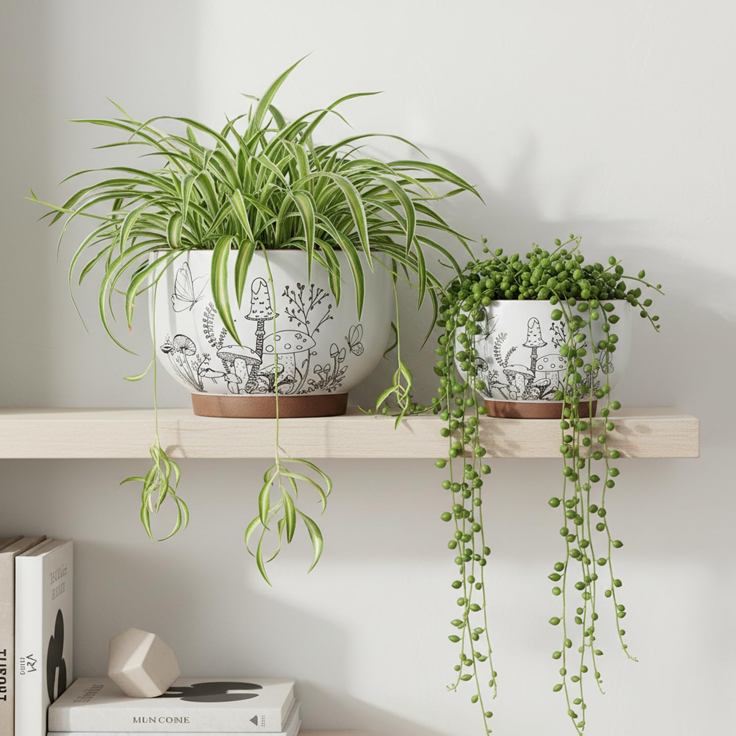 YBX YIBOXUAN side-by-side pots beside ruler, illustrating accurate size reference