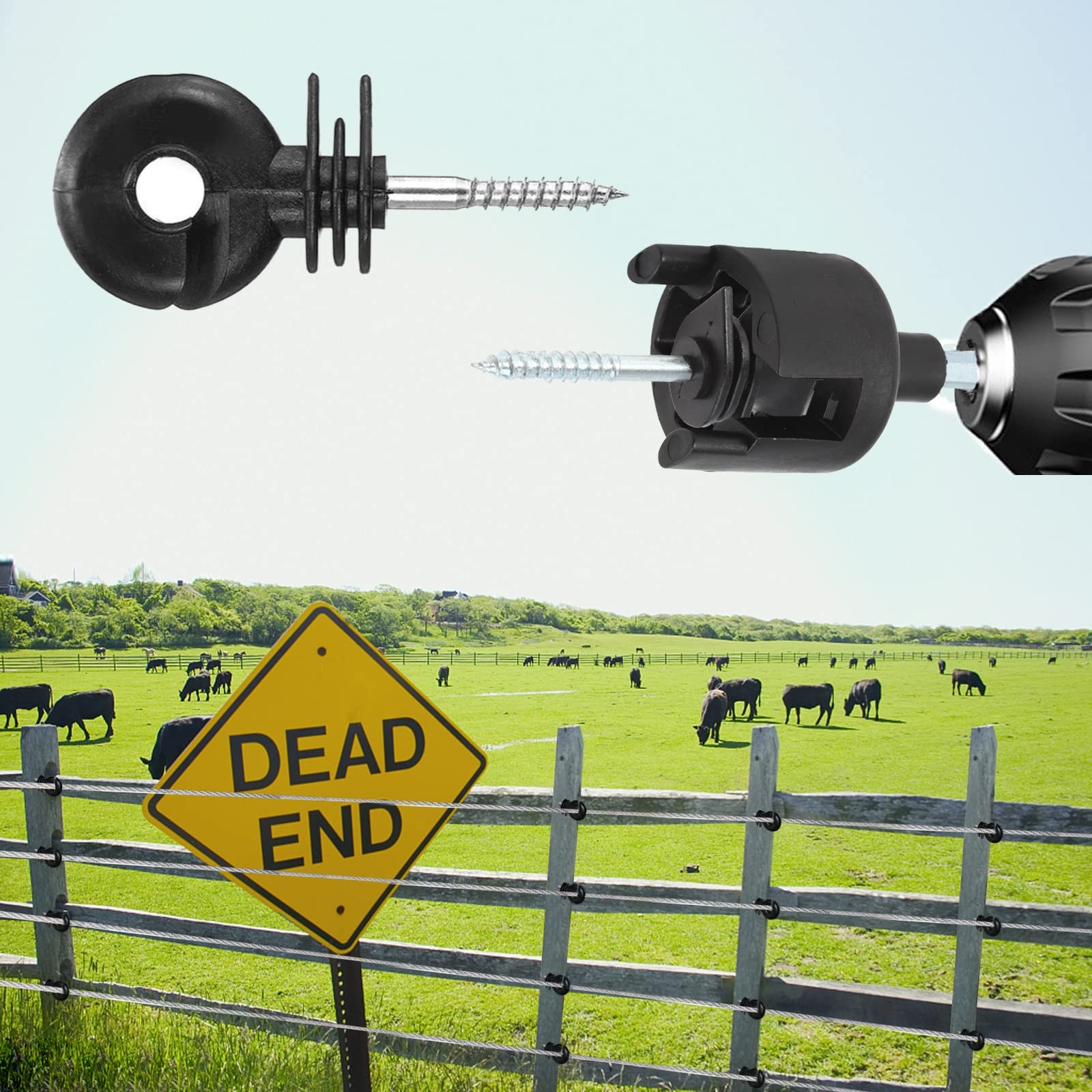 YCFERESY installed insulators along a pasture fence demonstrating practical use