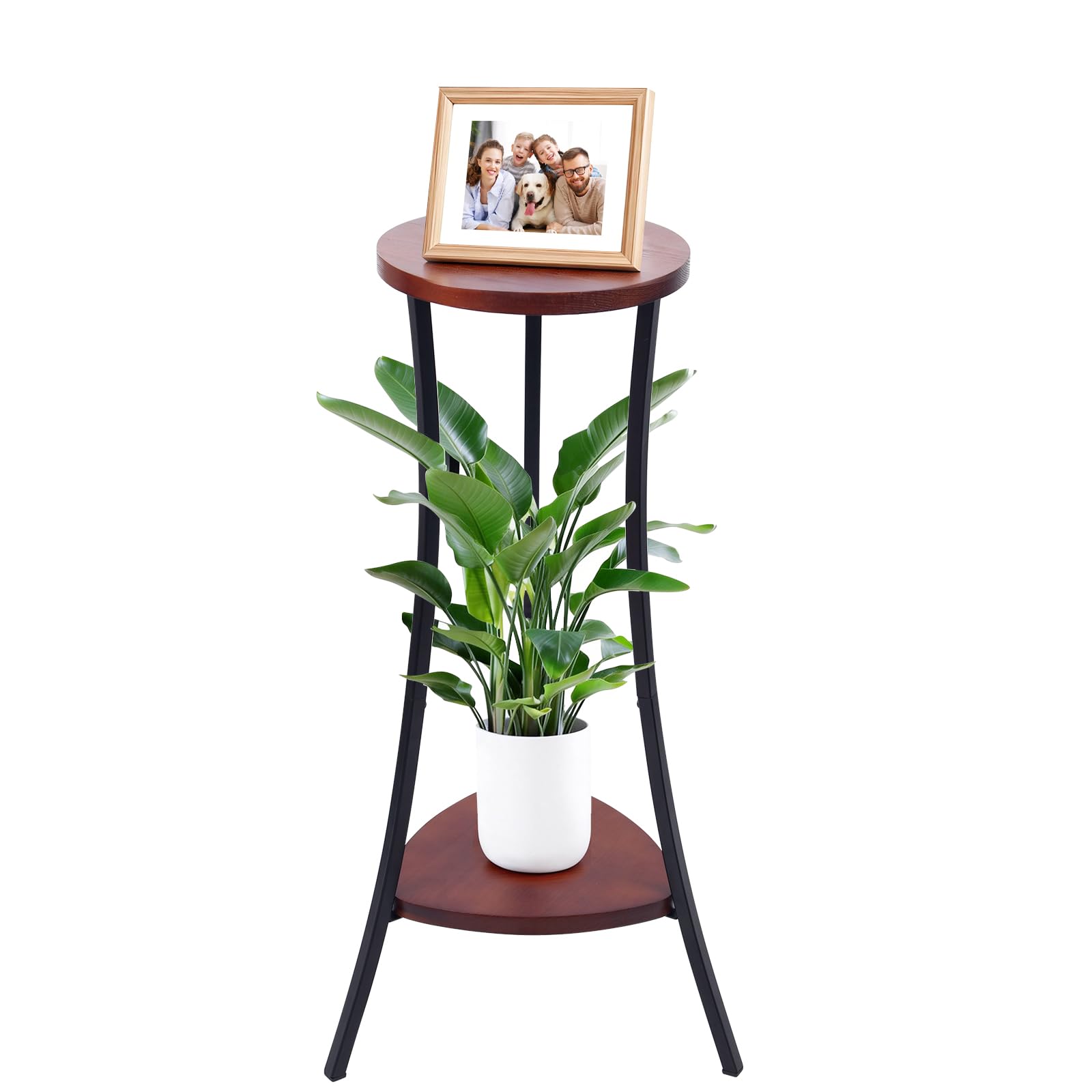 Yedcxup front view showing walnut shelves and black frame, stylish focal point