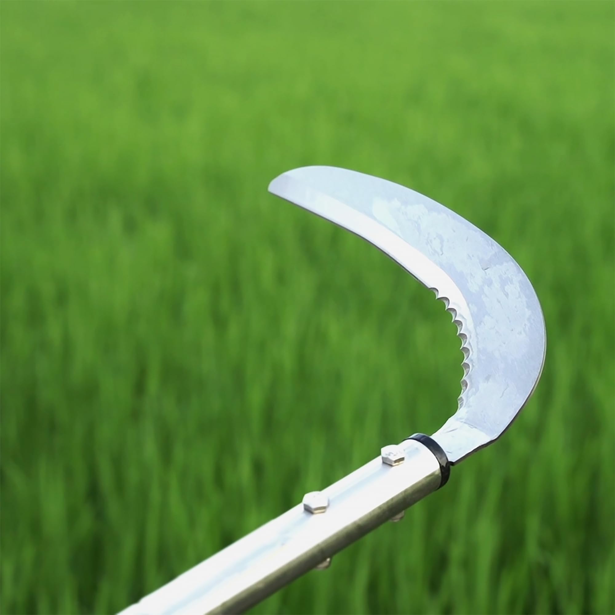 YEELOR closeup of straight and wavy blade edges showing dual cutting versatility