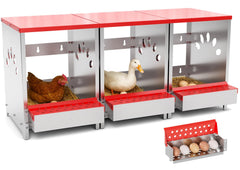 YENAM front view of 3-hole nesting box showing organized egg collection benefit