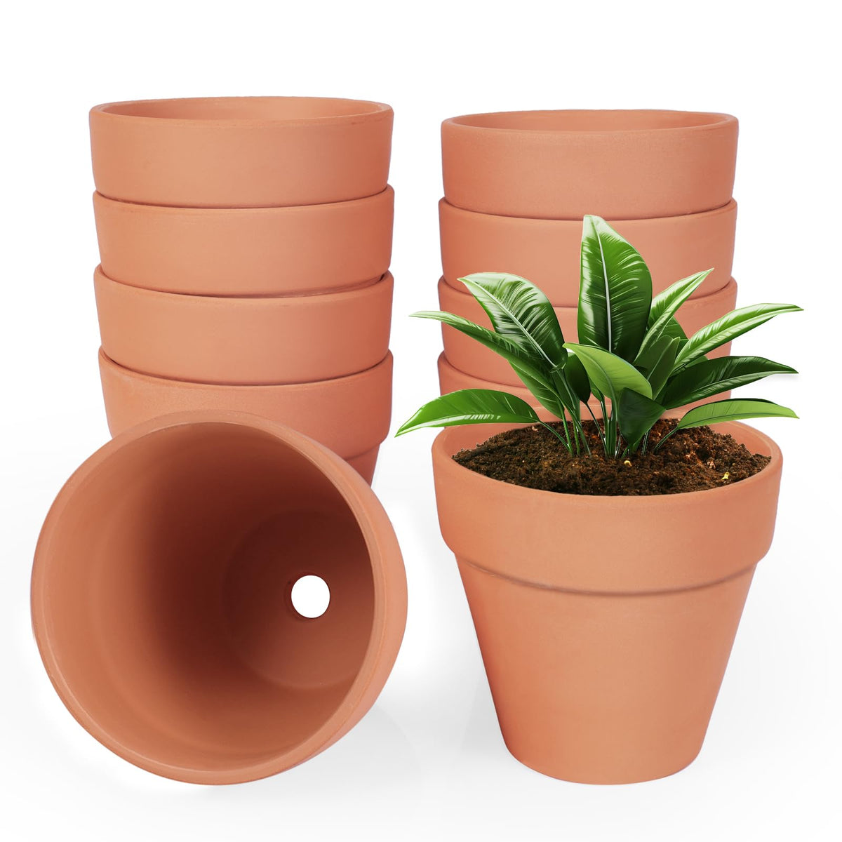 YESIACE front view of 24-pack showing clean white pots and value