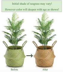 Yesland basket with potted plant inside showing decorative cover and tidy display