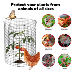 YEXEXINM assembled cylindrical cage around seedling protecting growth