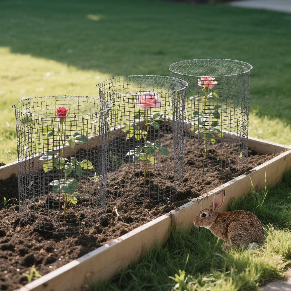 YEXEXINM garden scene with cages on beds, organized and wildlife-safe