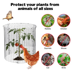 YEXEXINM plant protector in use around young plant, keeps rabbits away
