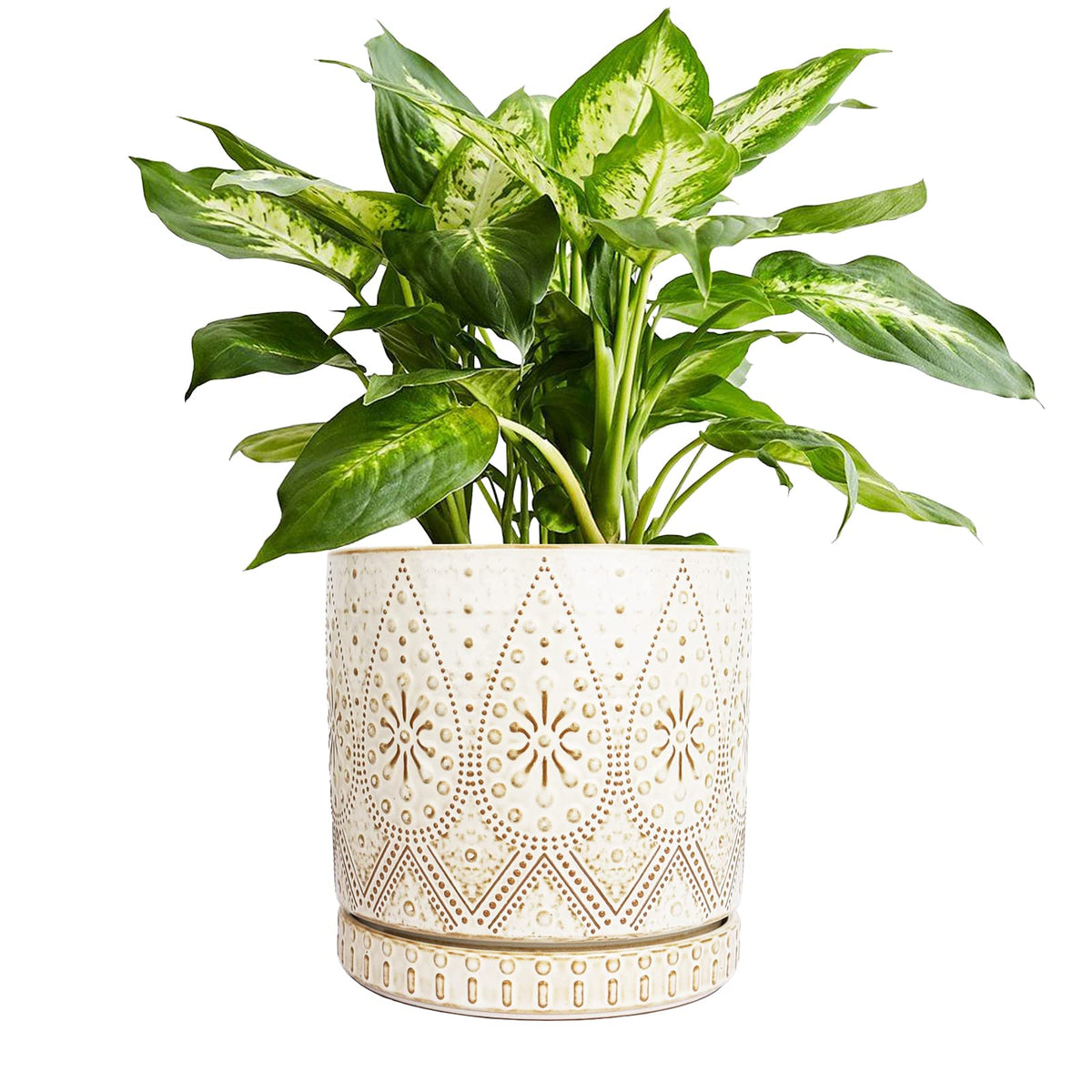 YFFSRJDJ front view of 8-inch pot showing shape and drainage benefits