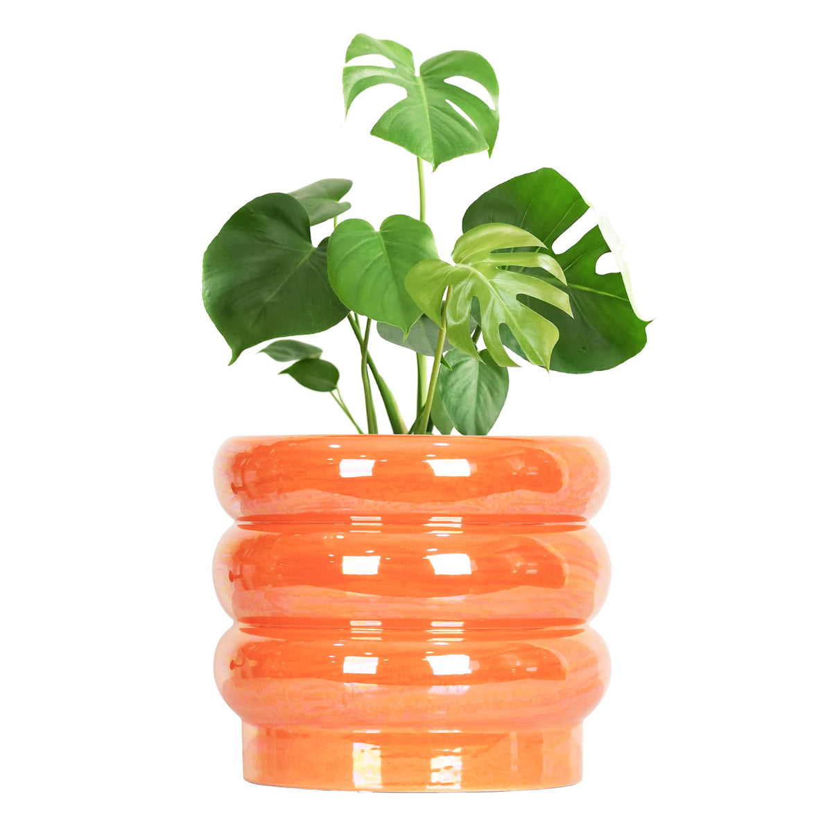 YFFSRJDJ front view pearlescent pot showcasing colorful finish and styling benefit