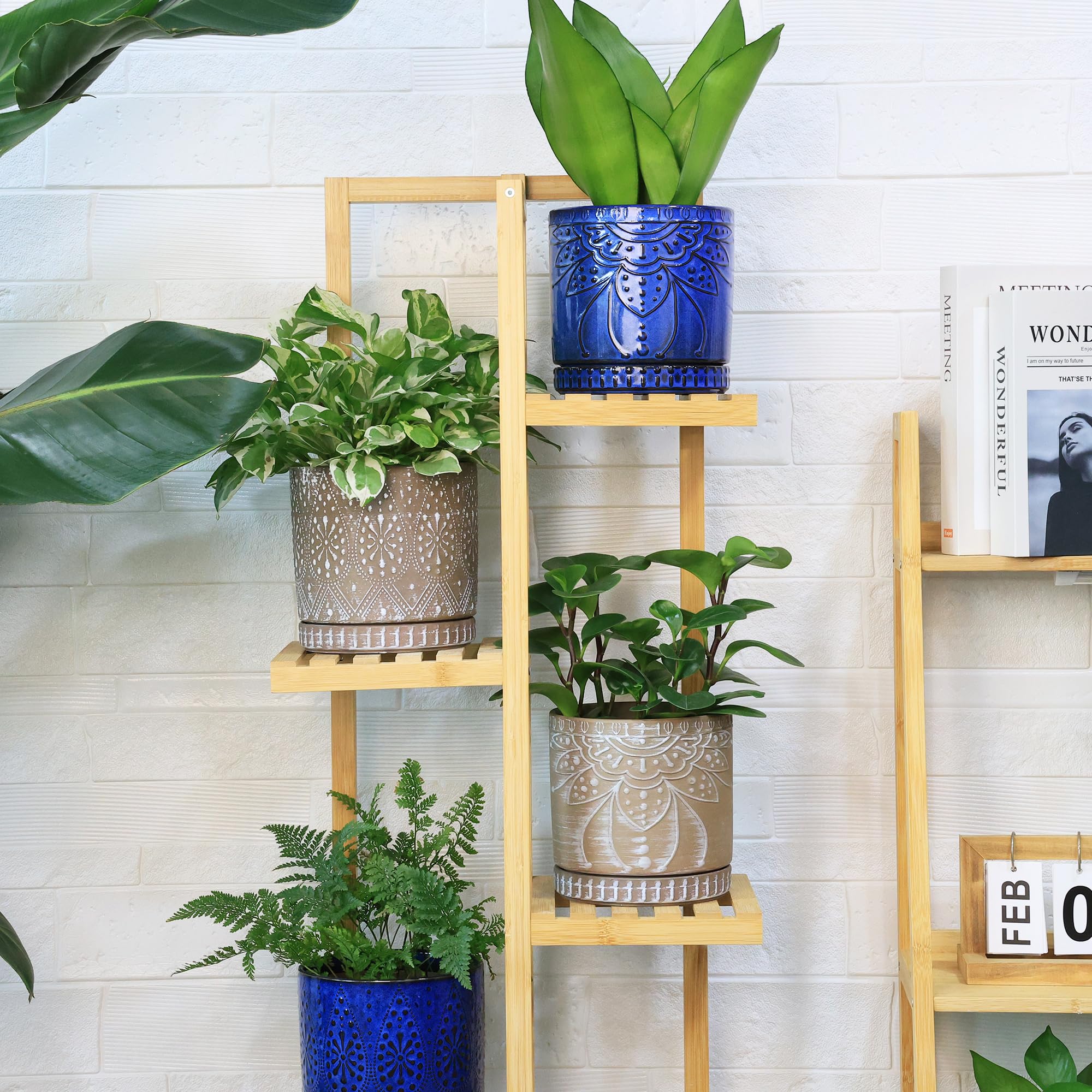 YFFSRJDJ planted pots on windowsill showing compact display and healthy styling