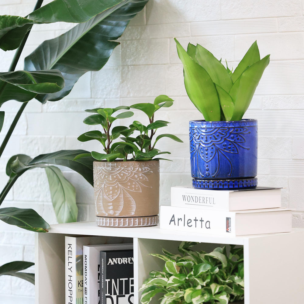 YFFSRJDJ pot next to a coffee mug to show true 6-inch size and scale