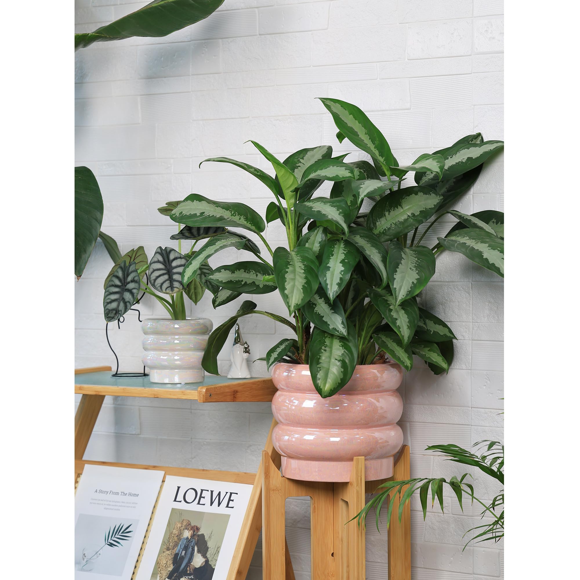 YFFSRJDJ planter beside coffee mug for size comparison aiding purchase decisions