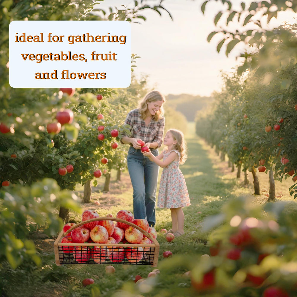 YHAOZE placed on table next to fruit to show size and scale for kitchen use