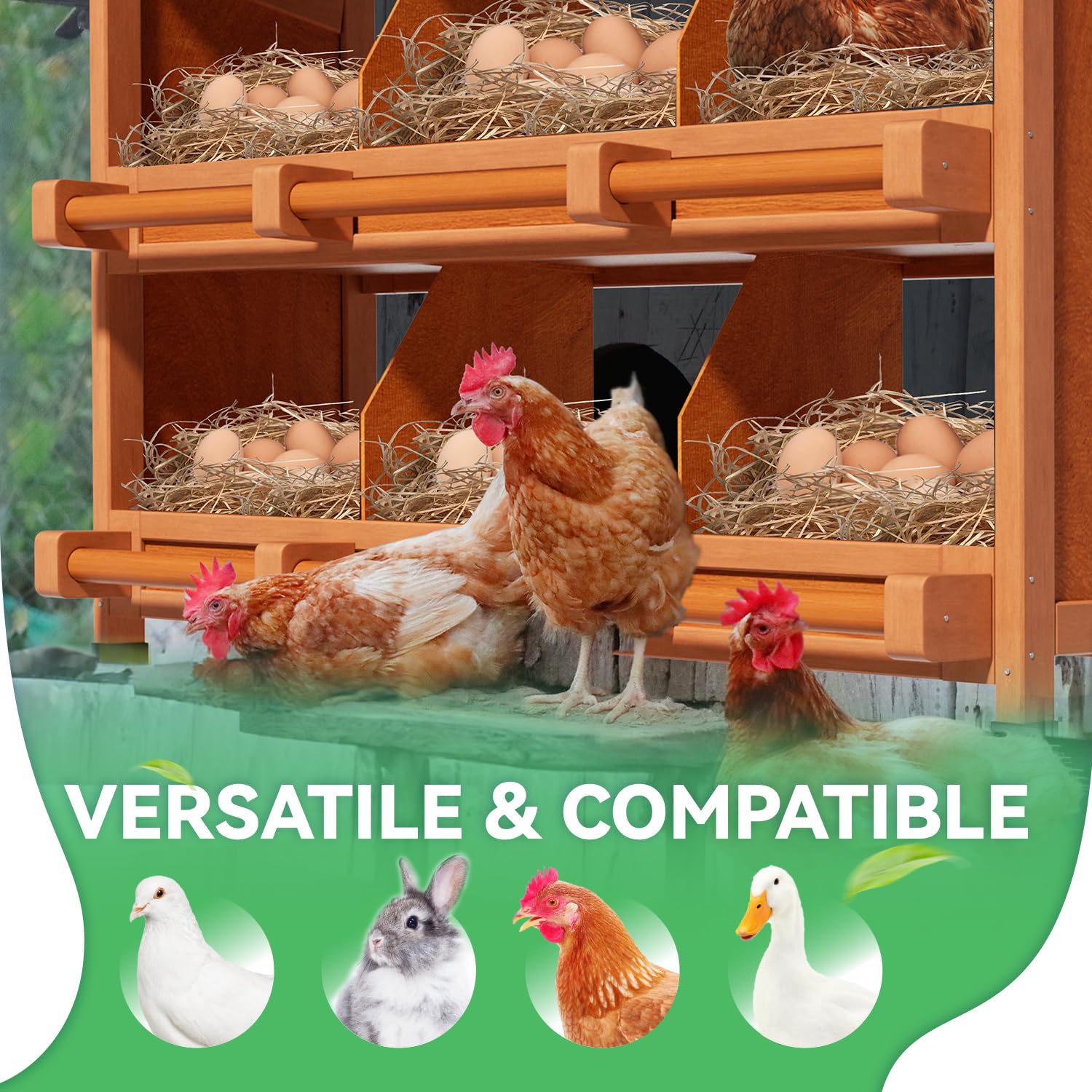 Yhhdjc installed unit inside wooden coop offering organized nesting areas