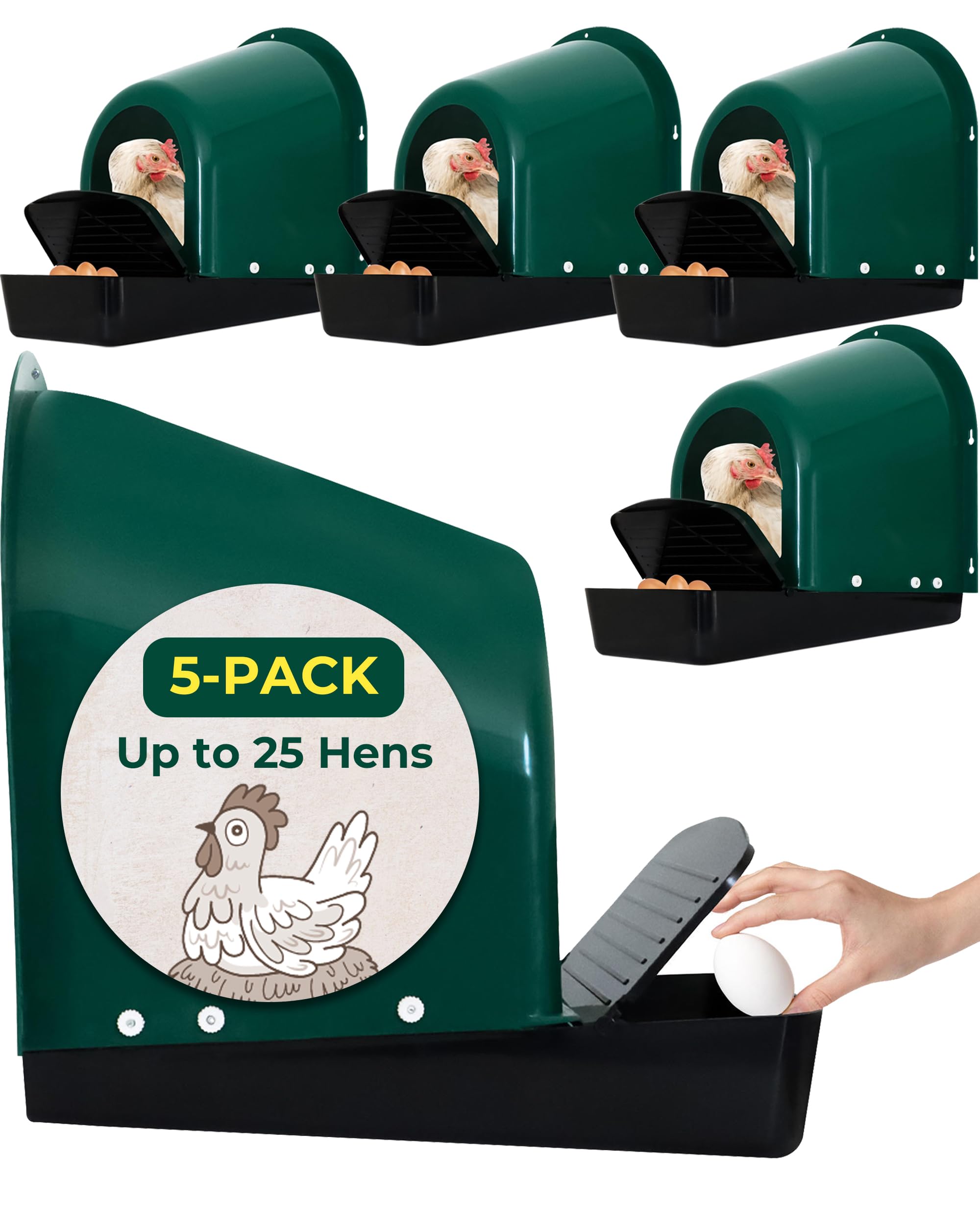 Yibesi front view of assembled nesting box showing clean access and easy egg retrieval
