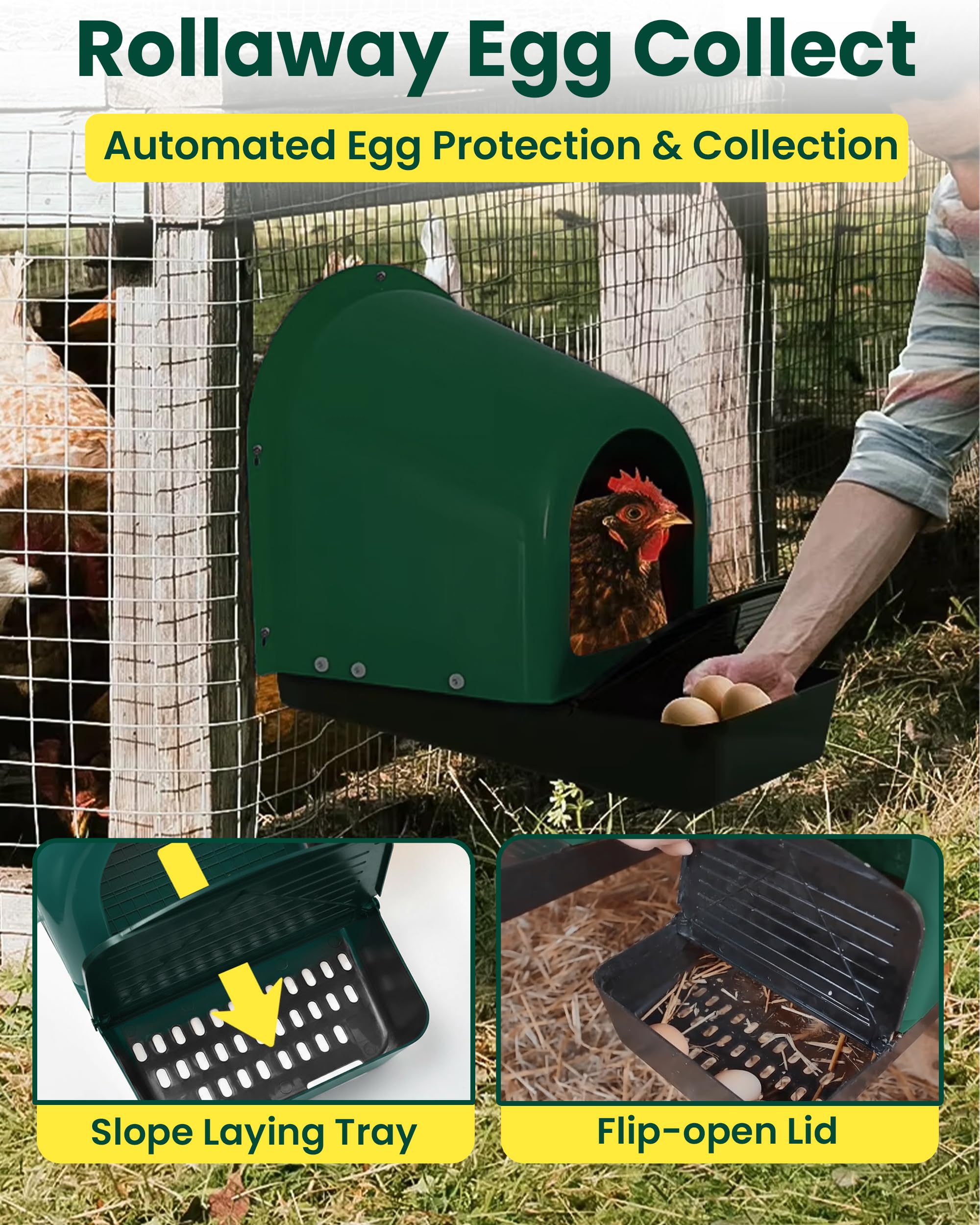 Yibesi open lid revealing covered egg collection area for protected eggs