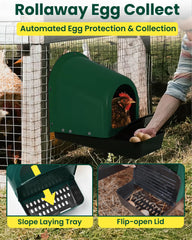 Yibesi open lid revealing covered egg collection area for protected eggs