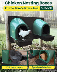 Yibesi entrance perch detail displaying comfortable hen access and reduced egg damage