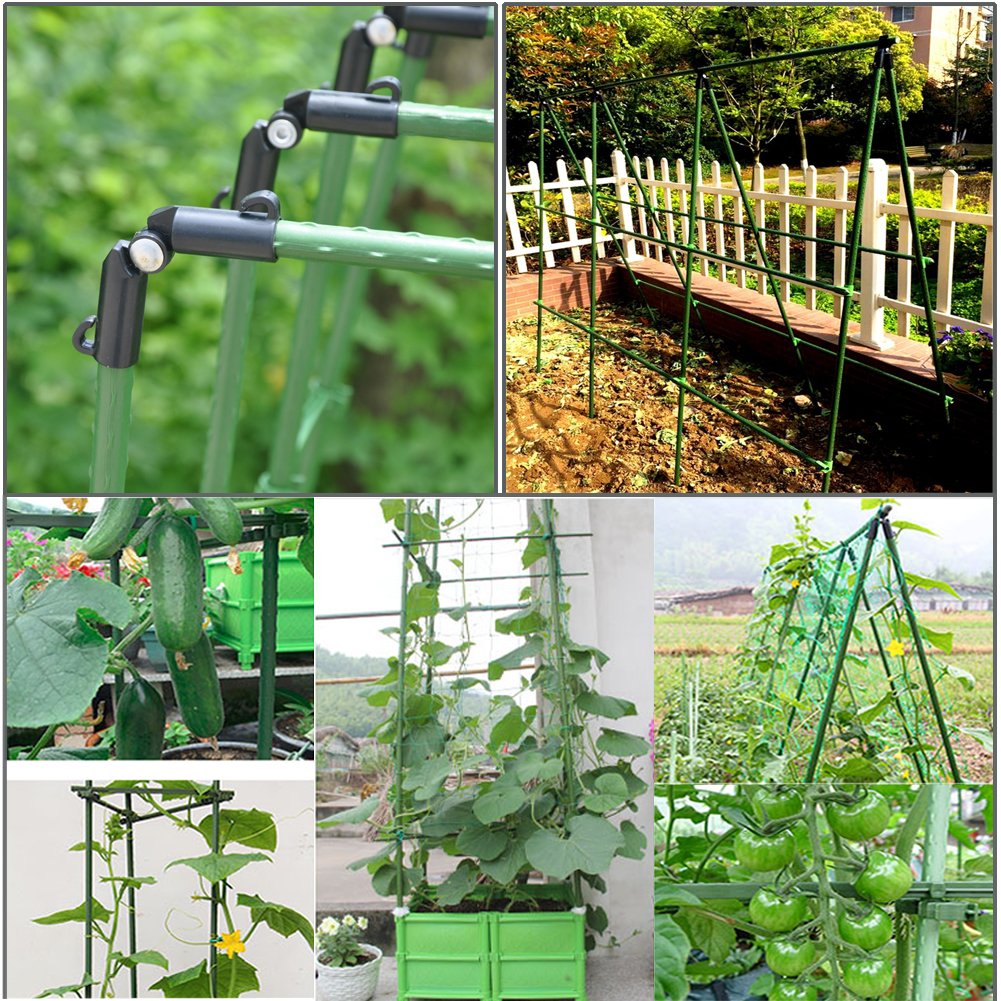 YIDIE stake with soft tie securing tomato stem for gentle plant support
