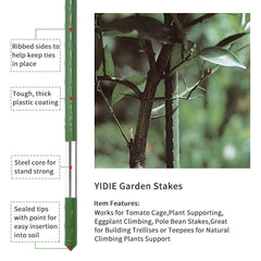 YIDIE stakes supporting tomato plants in garden improving air circulation