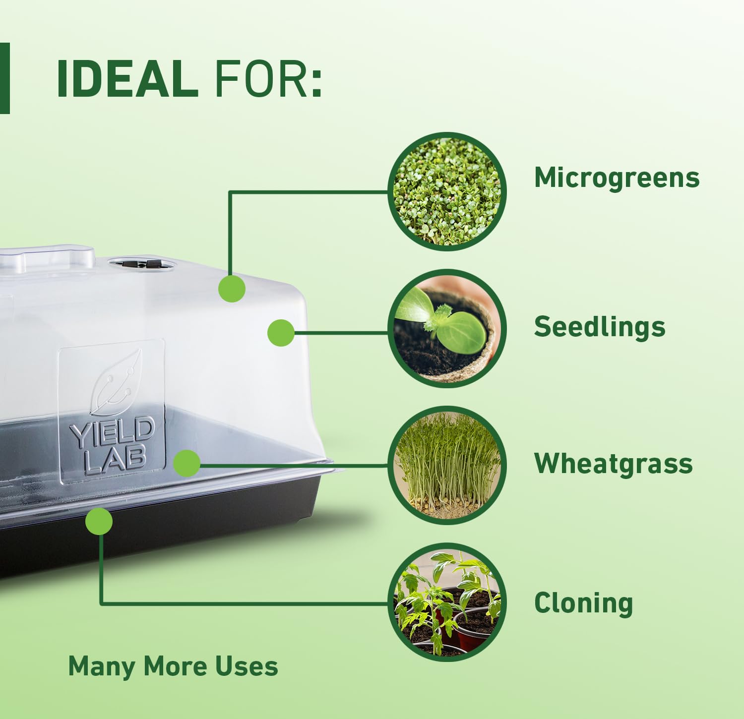 Yield Lab dome seated on 10x20 tray for secure propagation setup