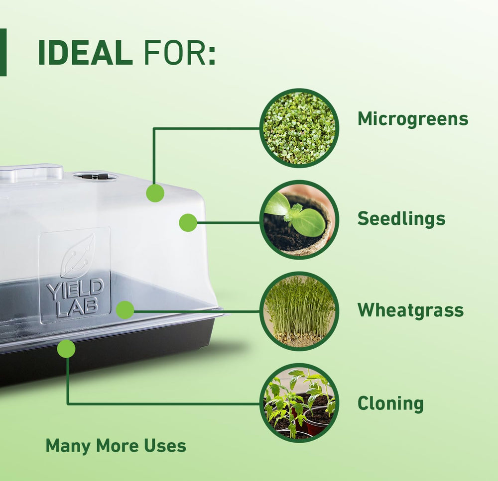 Yield Lab dome seated on 10x20 tray for secure propagation setup