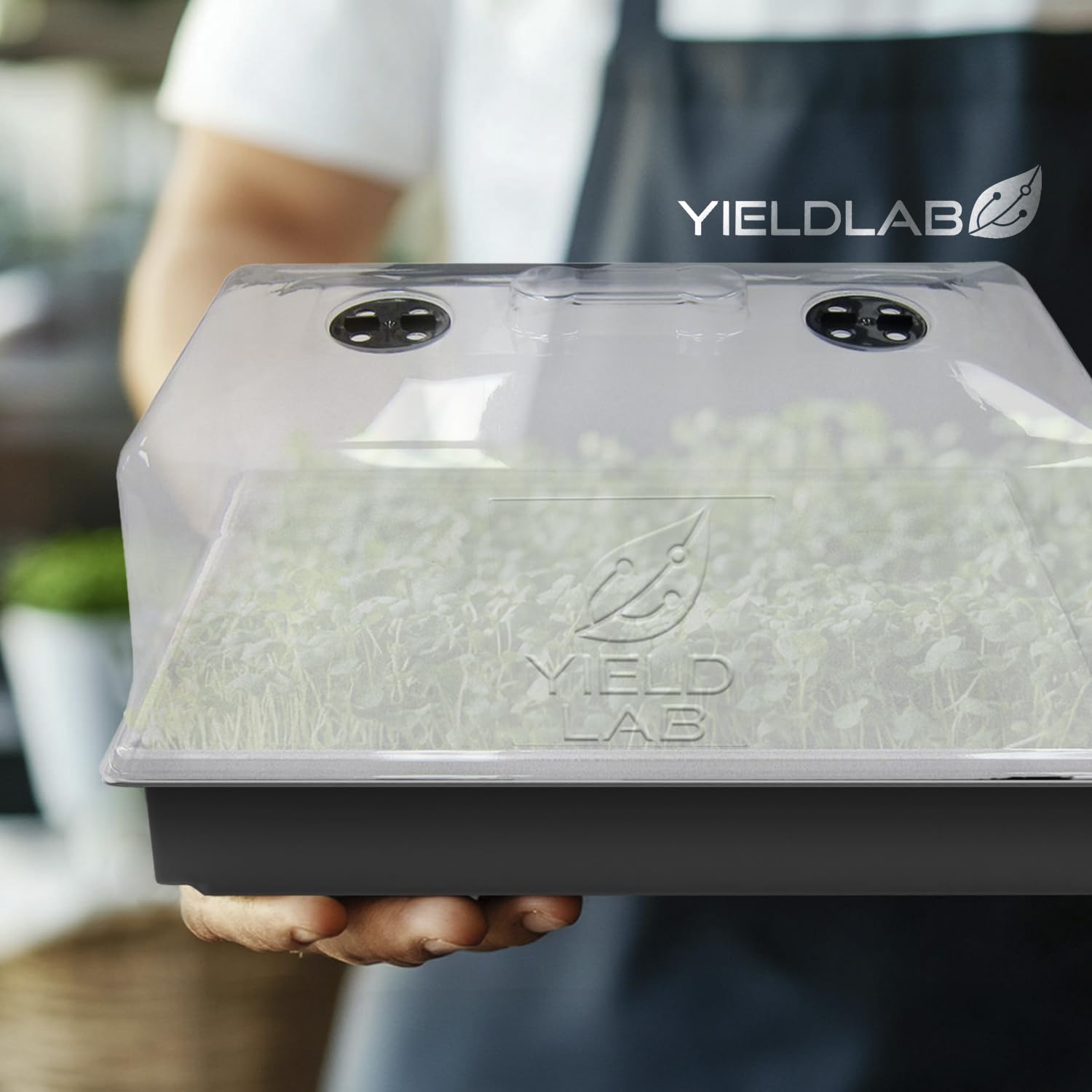 Yield Lab dome paired with heat mat for consistent base temperature