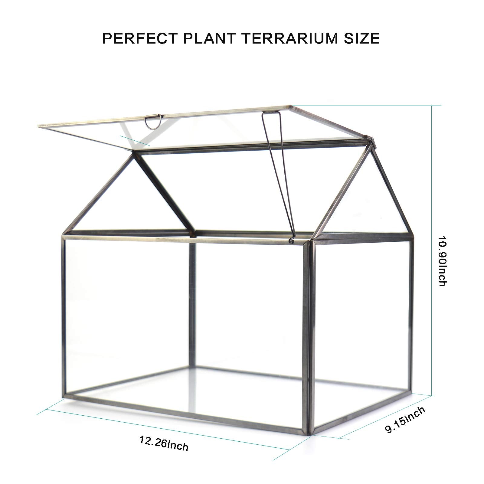 YIMORENCE V terrarium next to coffee mug for scale, helps visualize tabletop fit