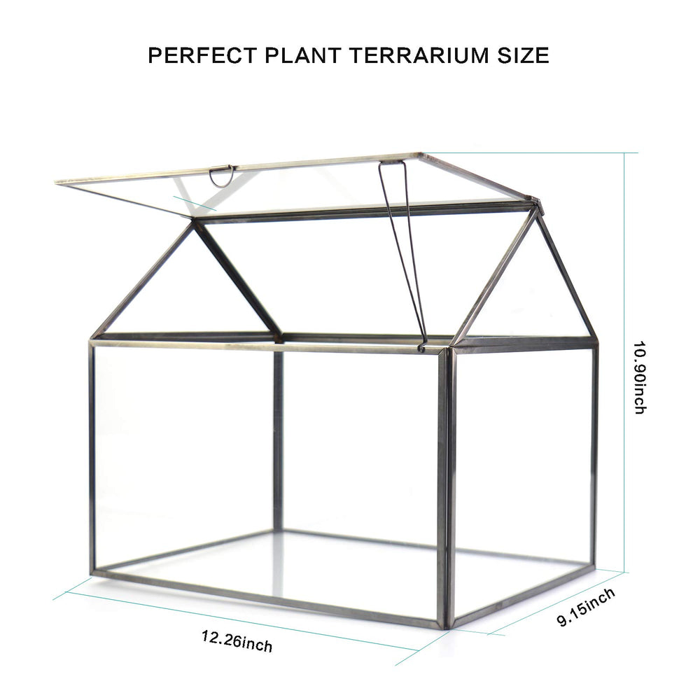 YIMORENCE V terrarium next to coffee mug for scale, helps visualize tabletop fit
