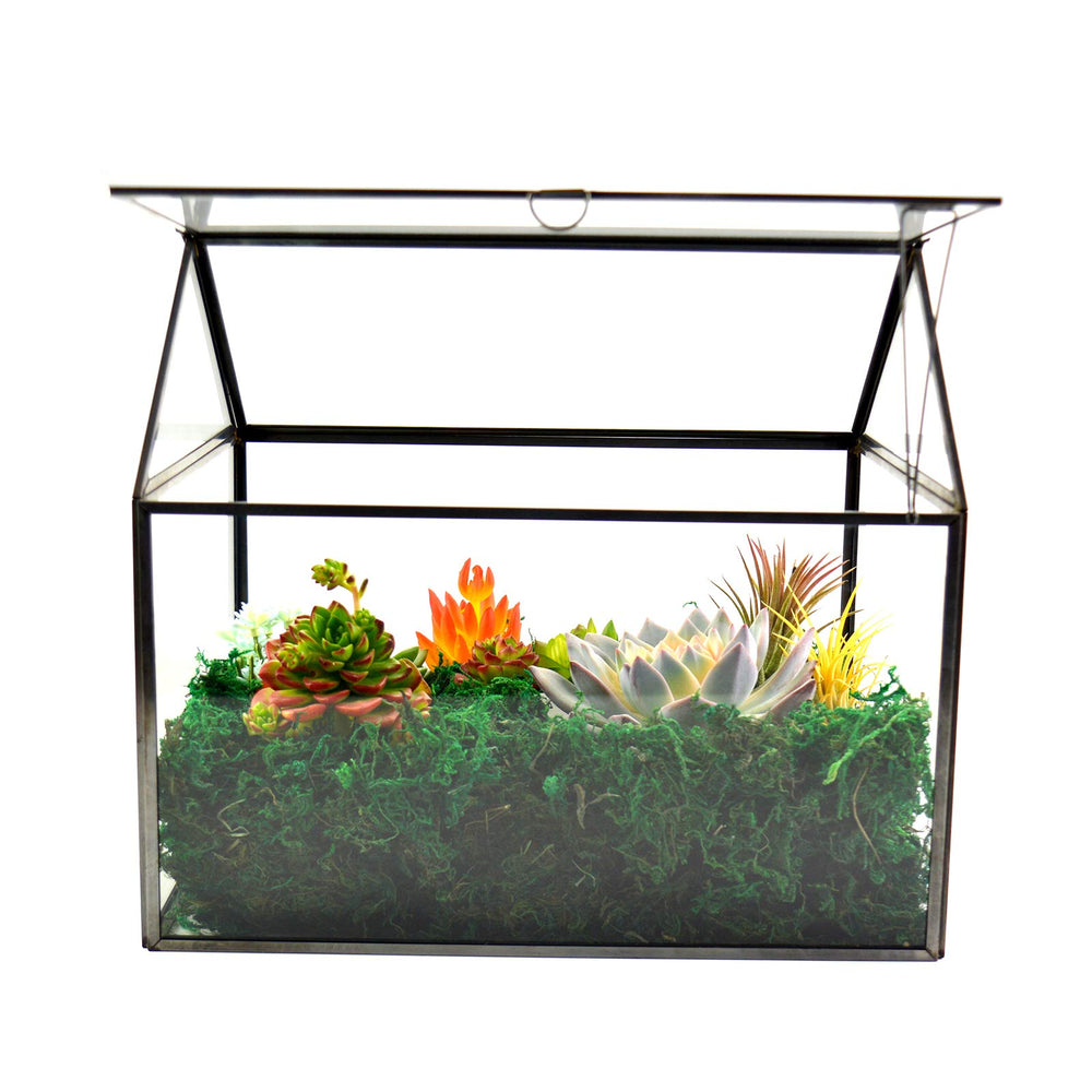 YIMORENCE V top view with moss and decorative stones, shows layout options and visual appeal