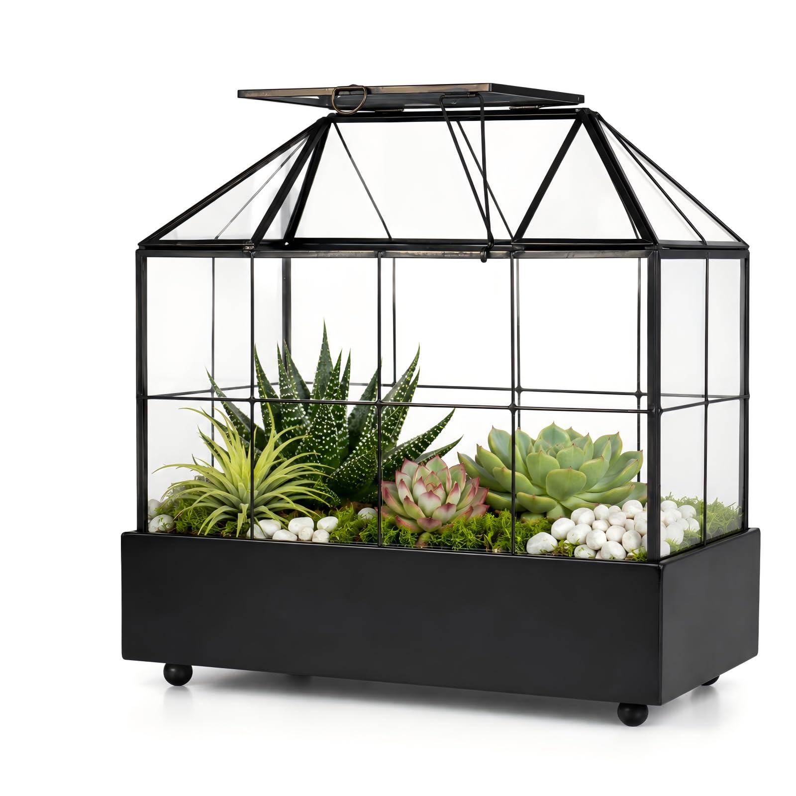 YIMORENCE V front view of glass terrarium showing house shape and display benefit