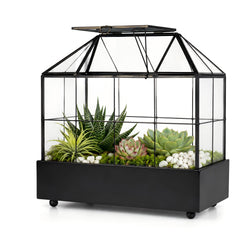 YIMORENCE V front view of glass terrarium showing house shape and display benefit