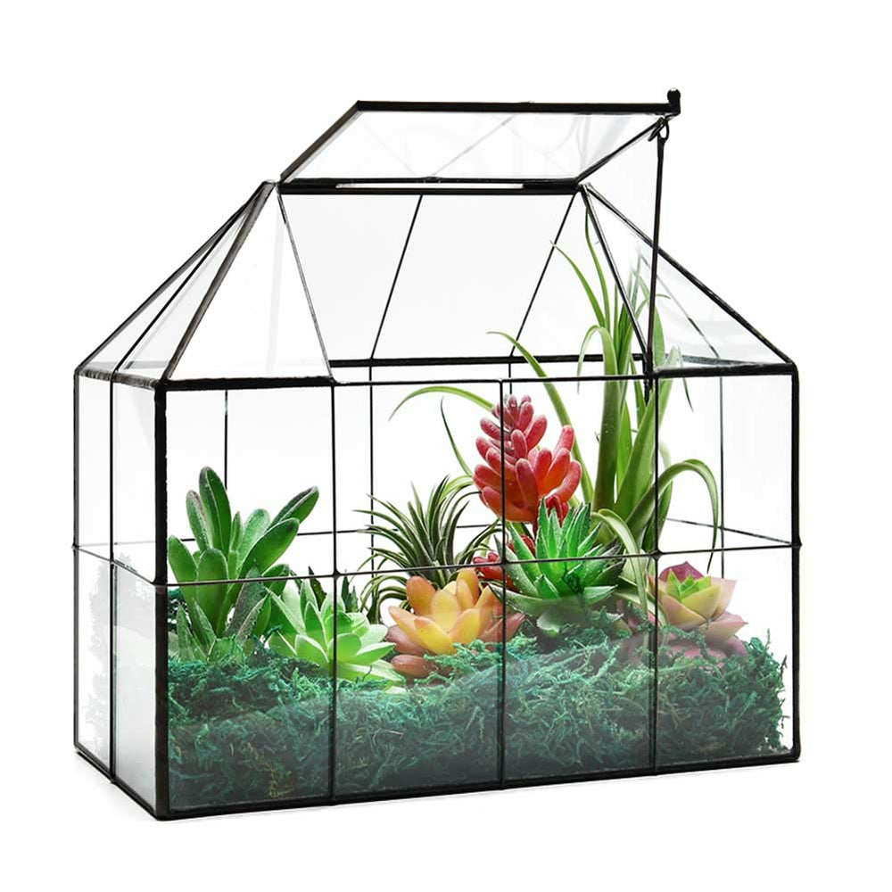 YIMORENCE V front view of house-shaped terrarium showing clear glass and black frame benefit display