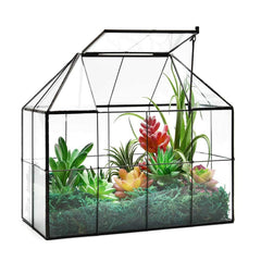 YIMORENCE V front view of house-shaped terrarium showing clear glass and black frame benefit display