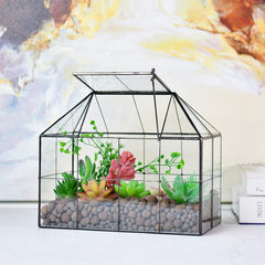 YIMORENCE V interior showing layered succulents and substrate for creative arrangement benefit