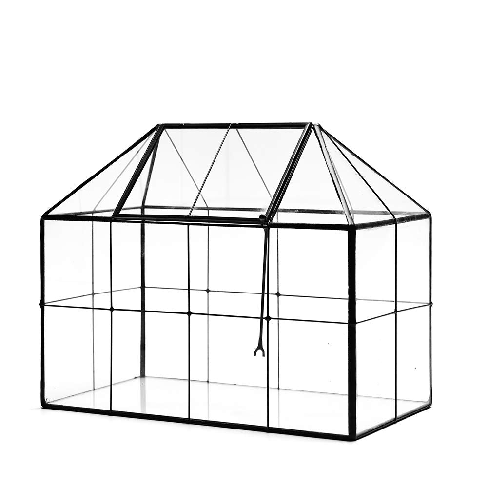 YIMORENCE V styled on a windowsill with plants and decor for room-enhancing benefit