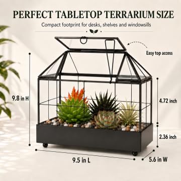 YIMORENCE V size comparison with hand showing manageable scale advantage