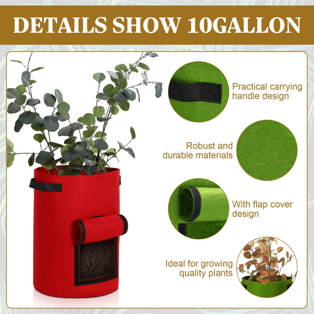 Yinder balcony setup with grow bags full of potato plants maximizing small-space yield