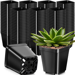 Yinder front view of 500-pack showing compact starter pots and bulk supply benefit