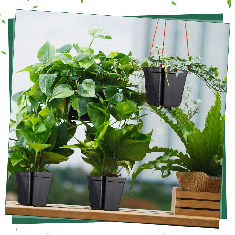Yinder pots placed in a potting tray in use demonstrating efficient seed-starting workflow