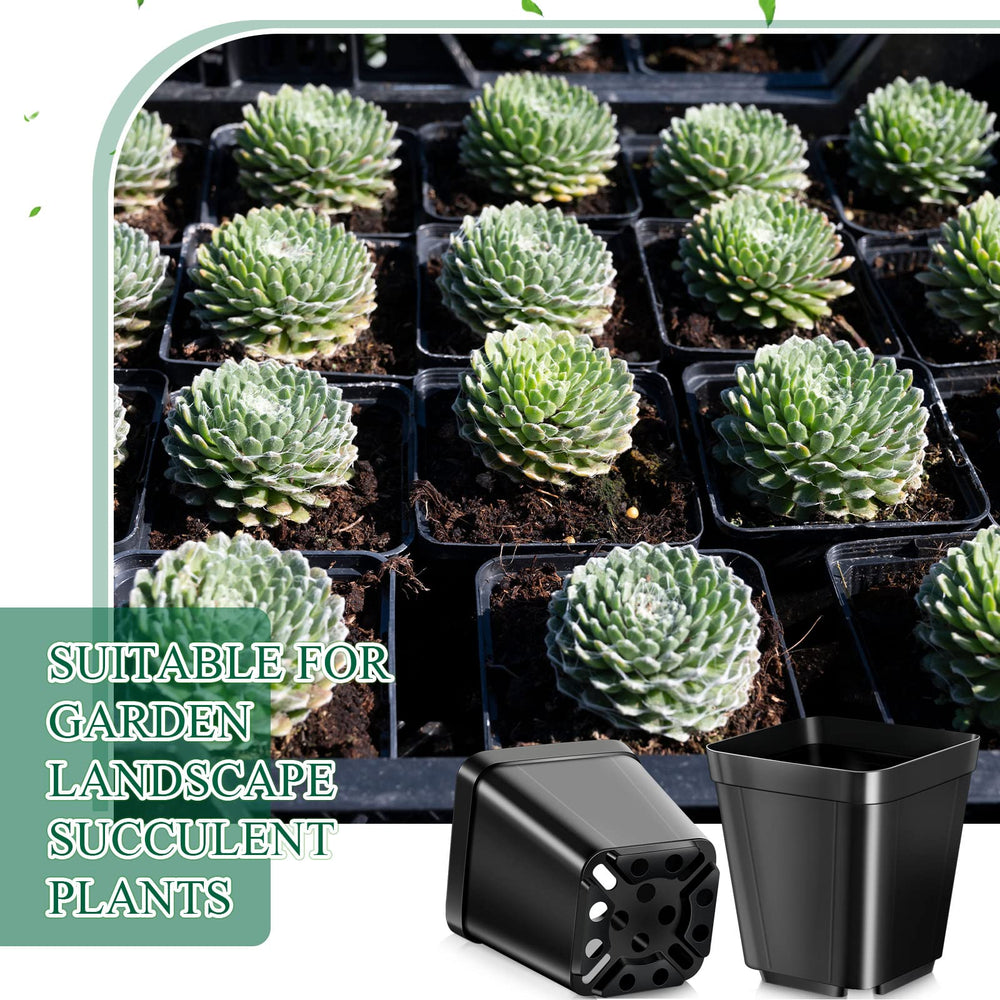 Yinder pot in hand for scale showing compact size and convenient portability