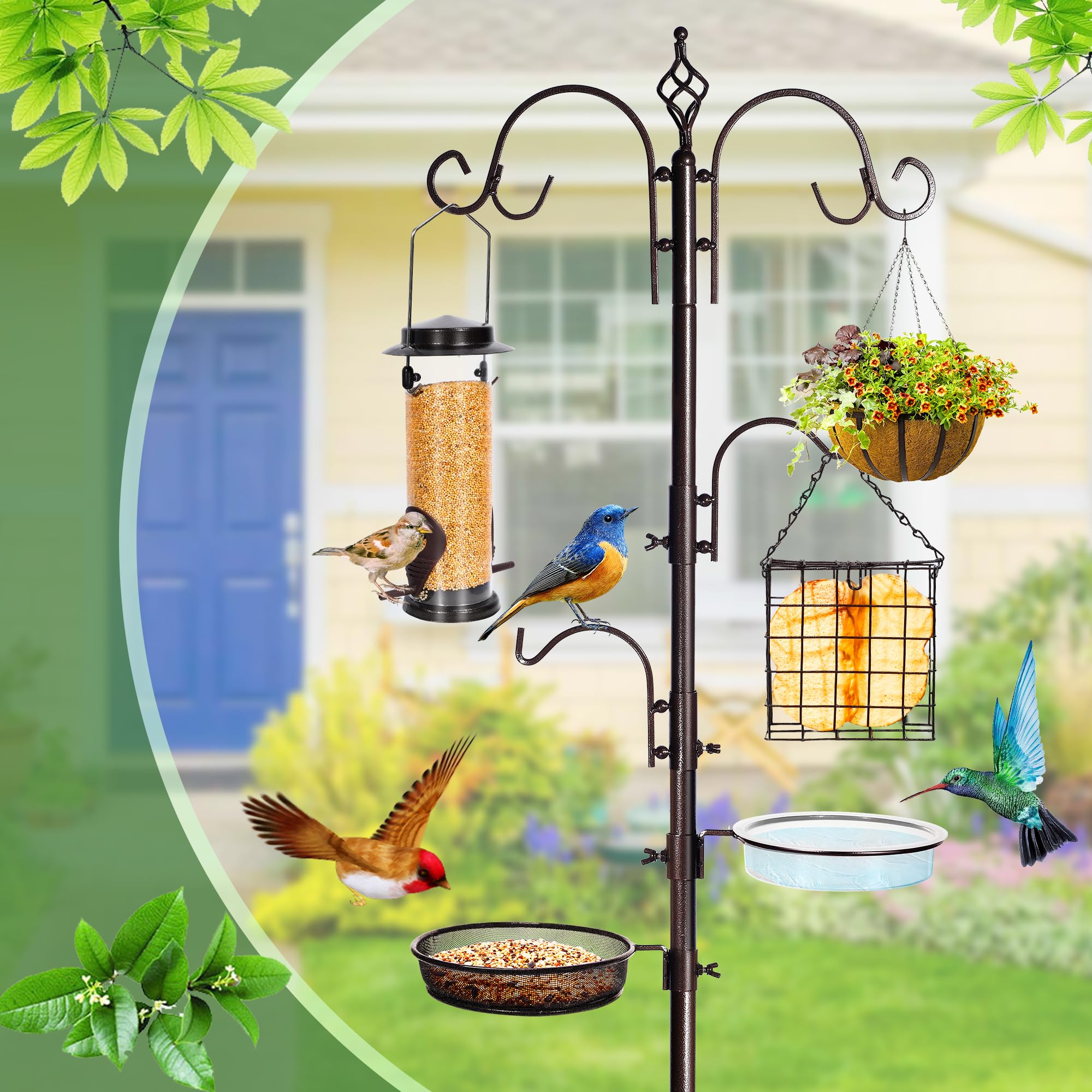 YINGYM suet cage detail highlighting durable metal cage to attract insect-eating birds