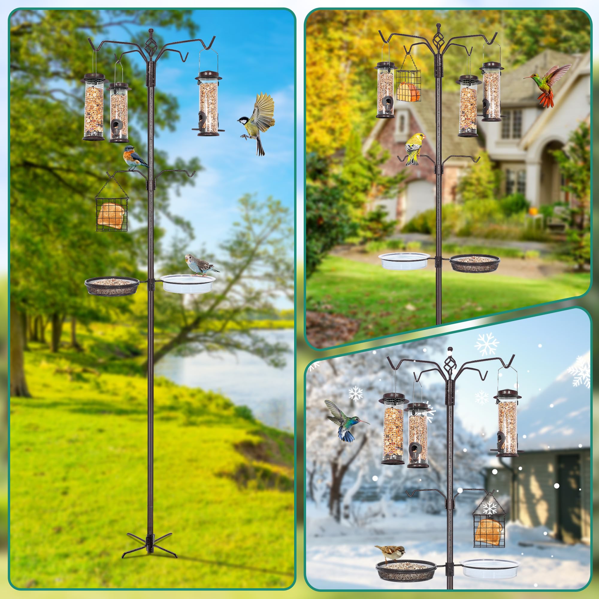 YINGYM suet feeder and tube feeders demonstrating varied food options