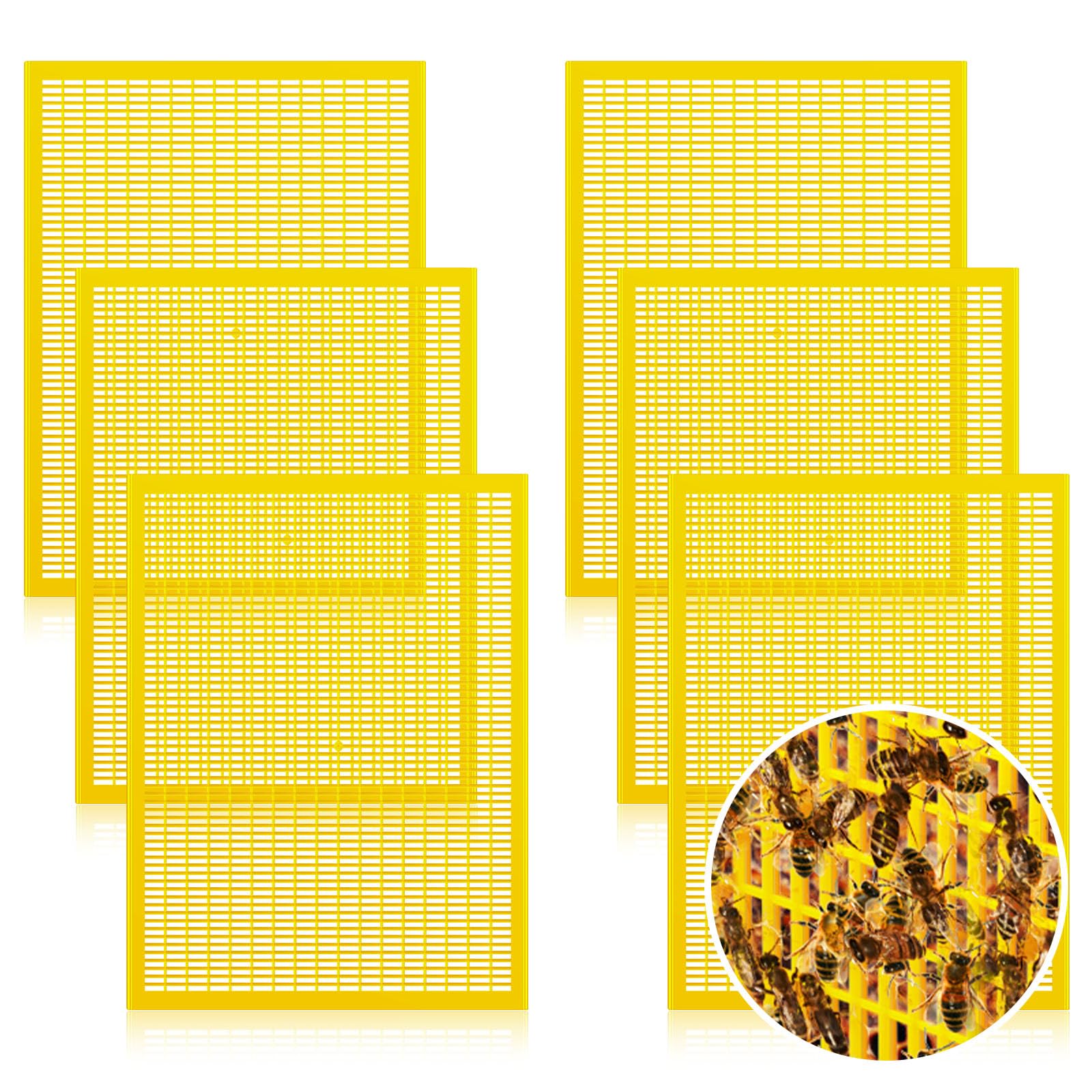 Yinkin front view showing six yellow excluders and clear packaging, easy identification benefit