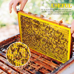 Yinkin installed in an 8-frame honey super demonstrating simpler brood separation benefit
