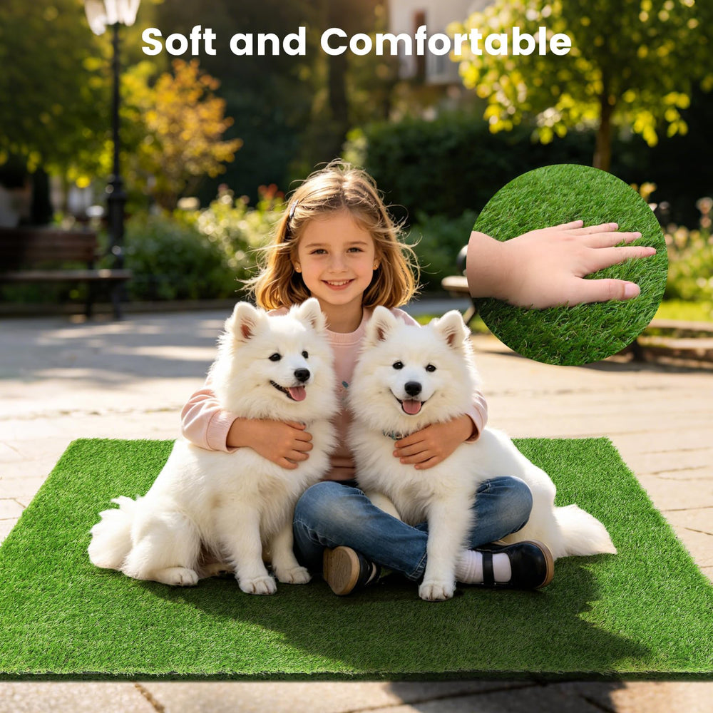 Yinoos size comparison with dog showing roomy surface for play