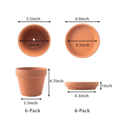 Yishang close-up of clay texture highlighting porous walls for better root airflow