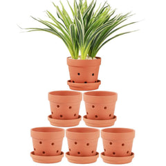Yishang front view of six terracotta orchid pots showing clean design and durability