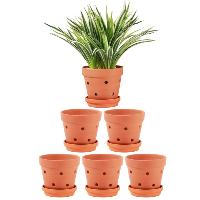 Yishang front view of six terracotta pots showing uniform set and ready-to-use convenience