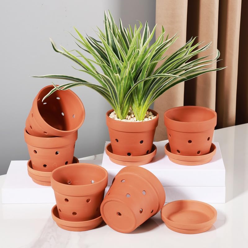 Yishang pot with orchid on windowsill illustrating healthy display and light access